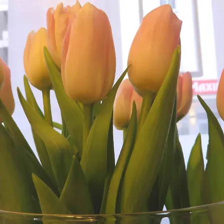 Easy&cosy Cityroom Отель Гельзенкирхен