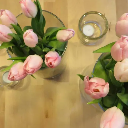 Easy&cosy Cityroom غيلسنكيرشن