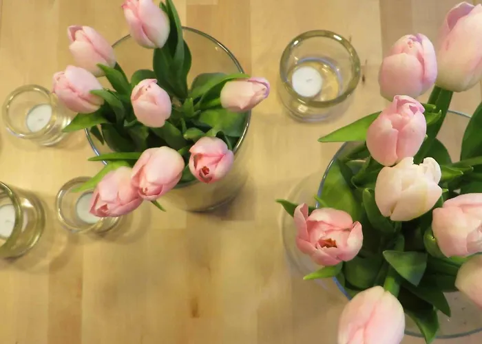 Easy&cosy Cityroom Гельзенкирхен